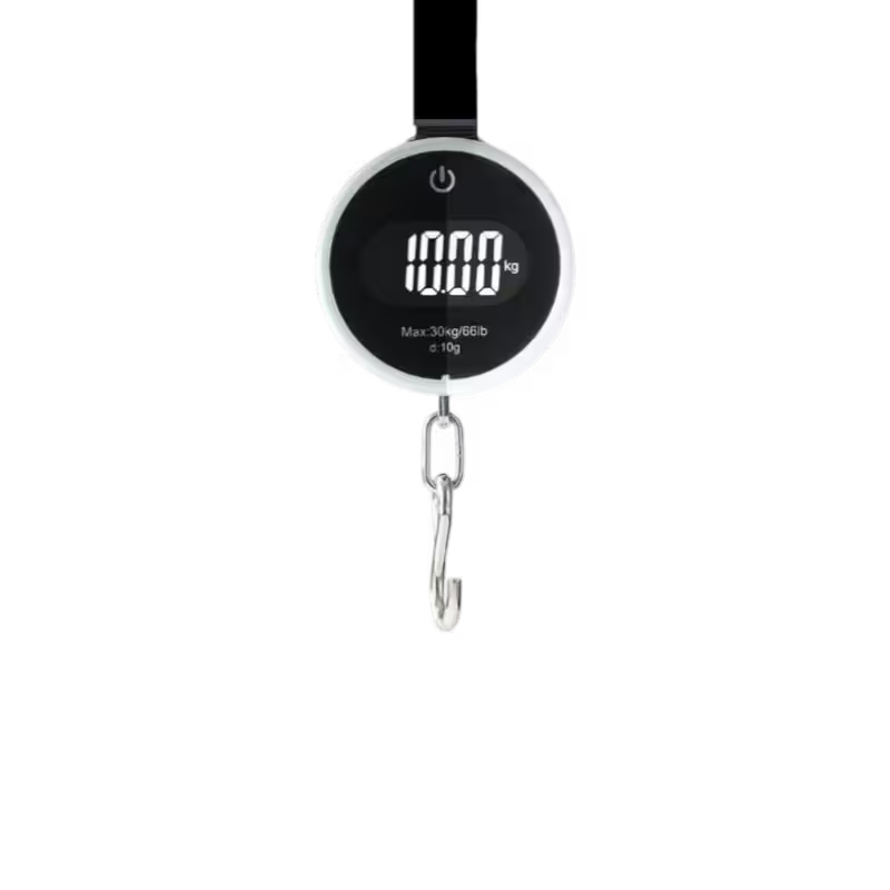 product-0-983.png Coteci TR-043 High Precision Hand-Held Scale – 30kg - Image 1